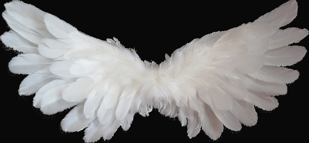 Når business angels møder andelsbevægelsen