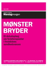 Mønsterbryder