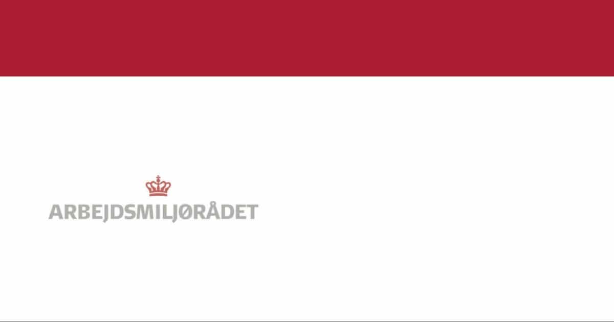 Partnerskaber for arbejdsmiljøindsatsen: et debatoplæg