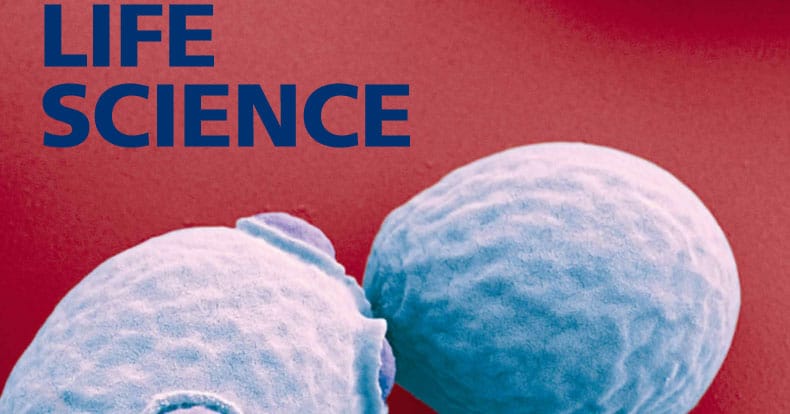 Biotekvirksomheder vil have national strategi