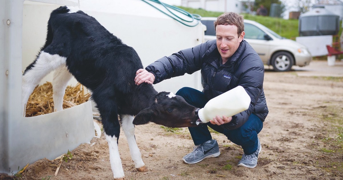 Zuckerbergs hamskifte – fra it-nørd til verdens frelser?