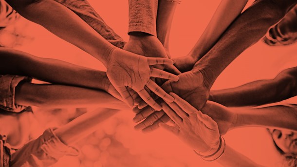 Fremgang for integrationen