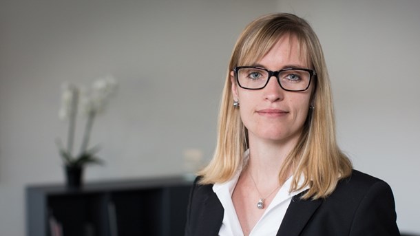 Danske Regioner går til EU i kamp om erhvervsstøtte