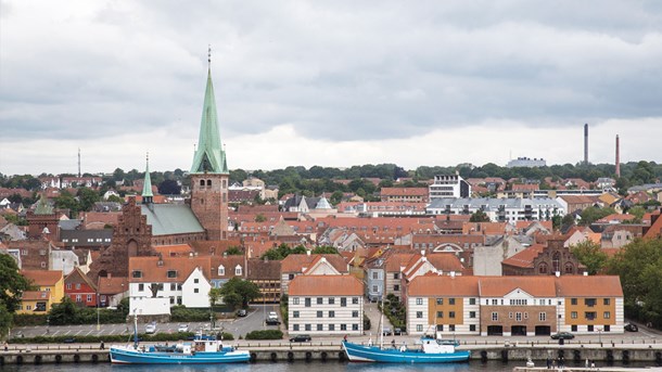 Scenarie: 'Altid ja' - da folkestyret blev folkeligt