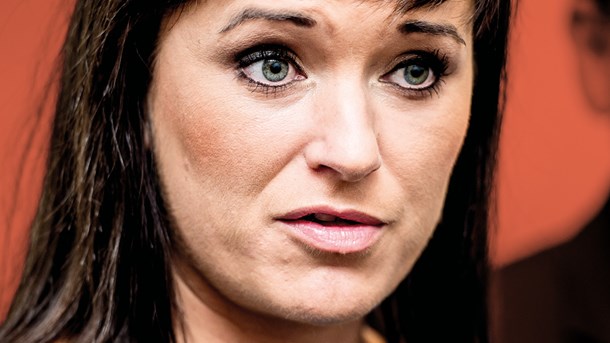 Her er regeringens plan for oprydning i puljejunglen