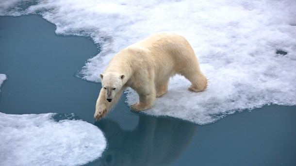 Mandag Morgen gør status på klimaet