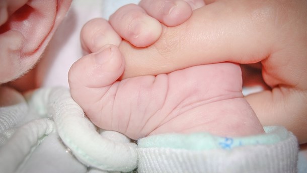 Nordeuropæiske lande ligger i top for fertilitet