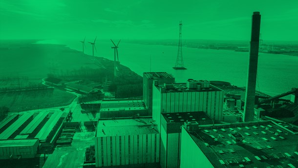 Aalborg Kommune: Biomasse er sidste udvej