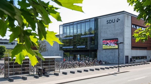 Jo, verdensmålene må gerne styre universiteternes forskning