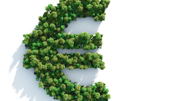 EU sætter global standard for grønne investeringer