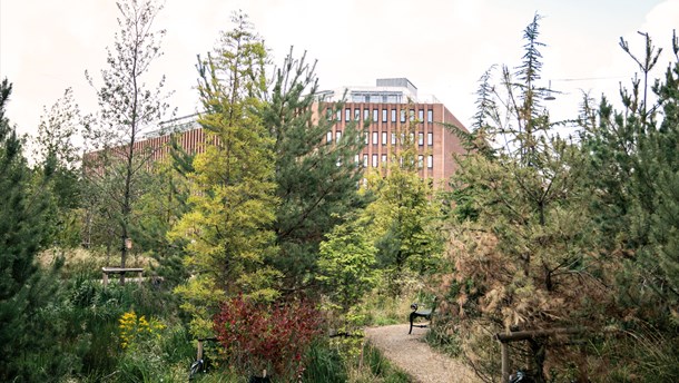 Her er kommunernes klimaprojekter i 2020