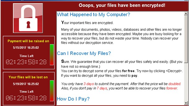 Computersystemer kan også få virus