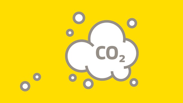 Nedlukninger gør stort indhug i CO2-udledningen