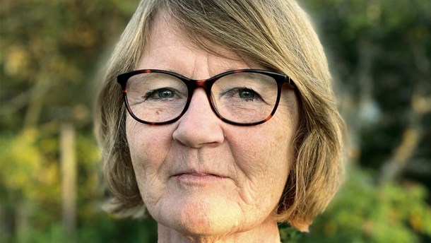 Professor: Pilen peger på større arbejdsgiveransvar