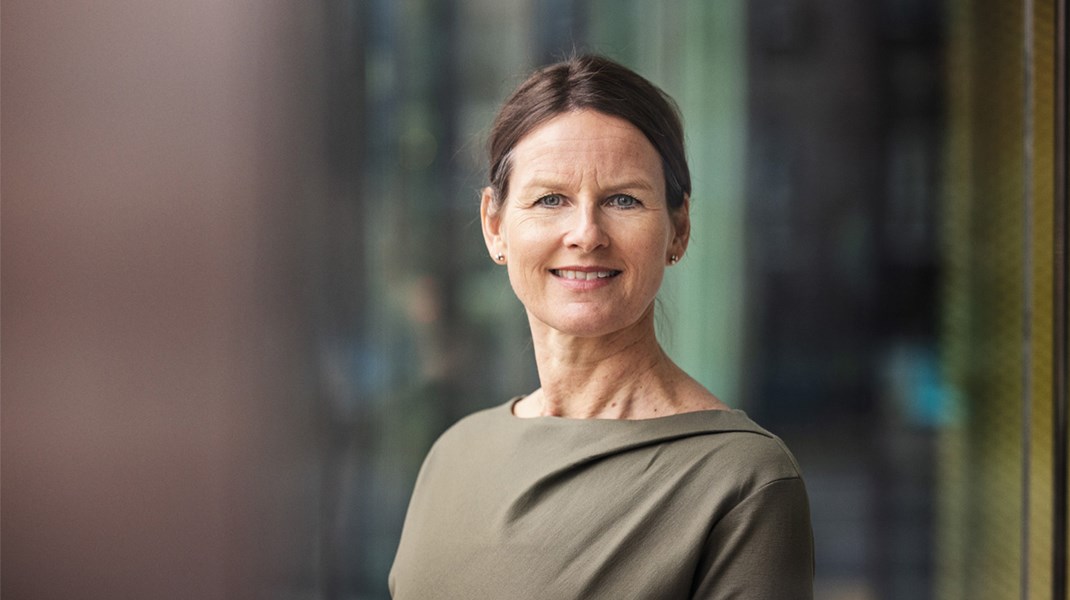 Datachef for den digitale og grønne omstilling
