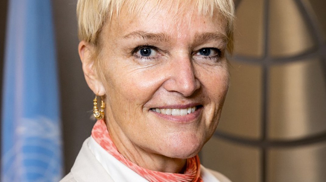 Oxford-professor for bæredygtig business