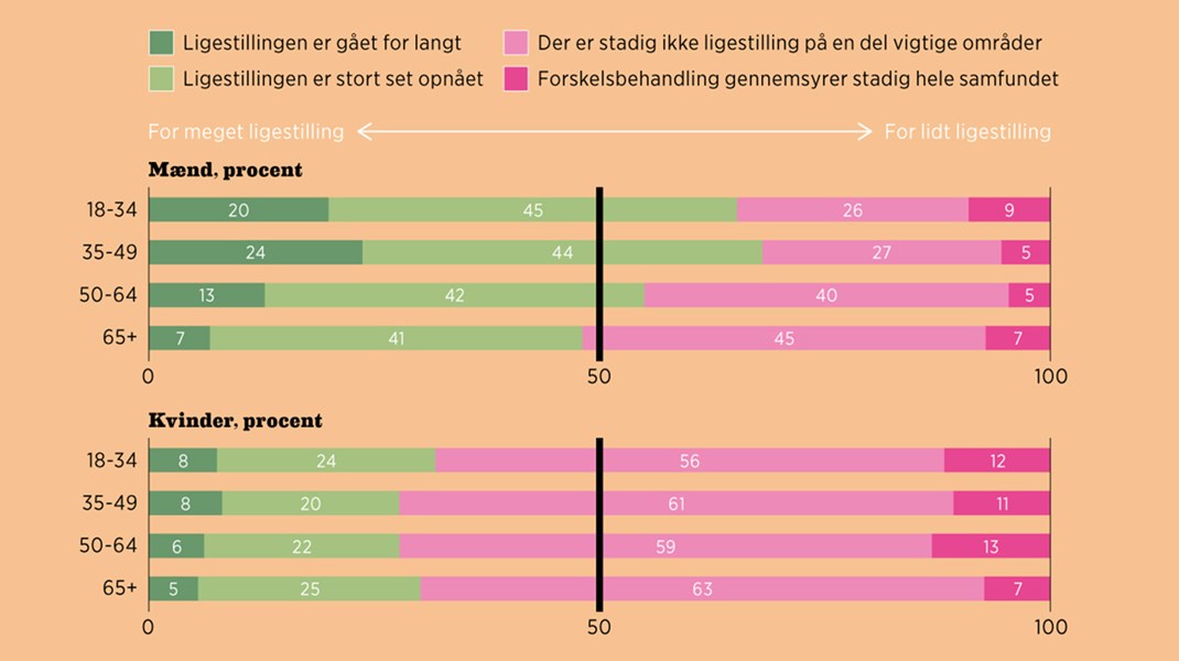 Fakta: Yngre mænd er de største ligestillingskritikere