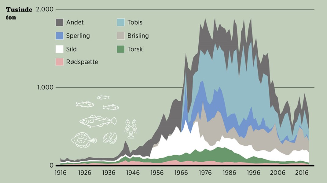 Fakta: Fisken på disken
