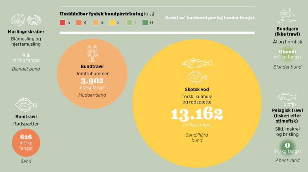 Fakta: Et trawl er ikke bare et trawl