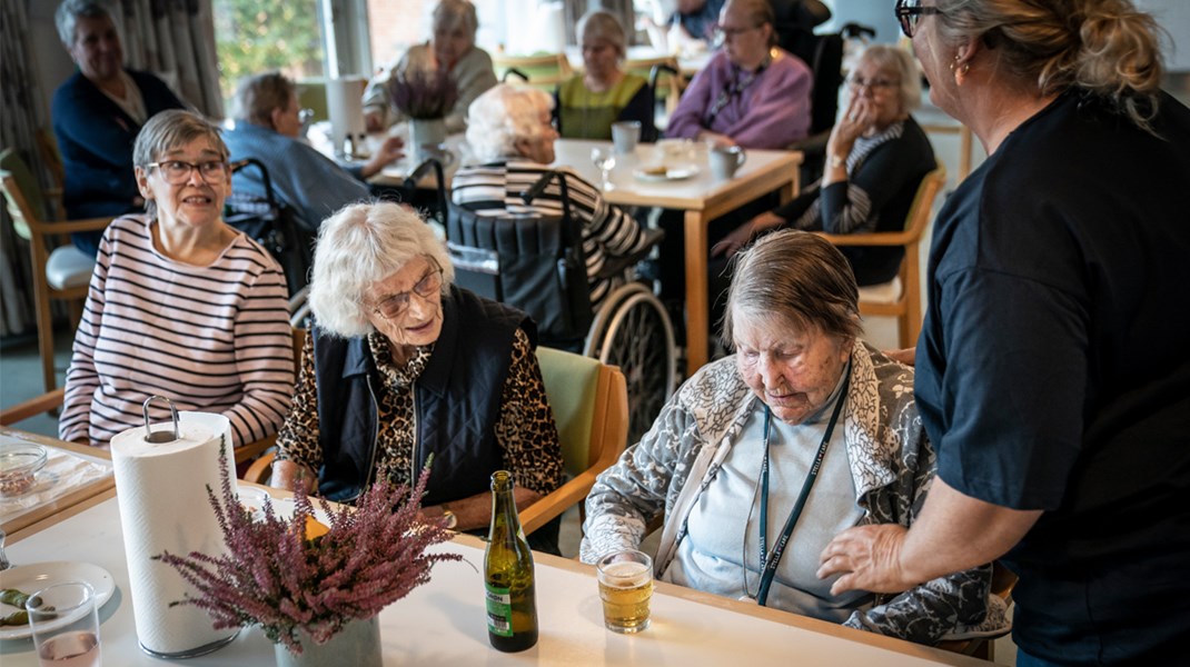 Tre snubletråde kan spænde ben for regeringens ældrereform