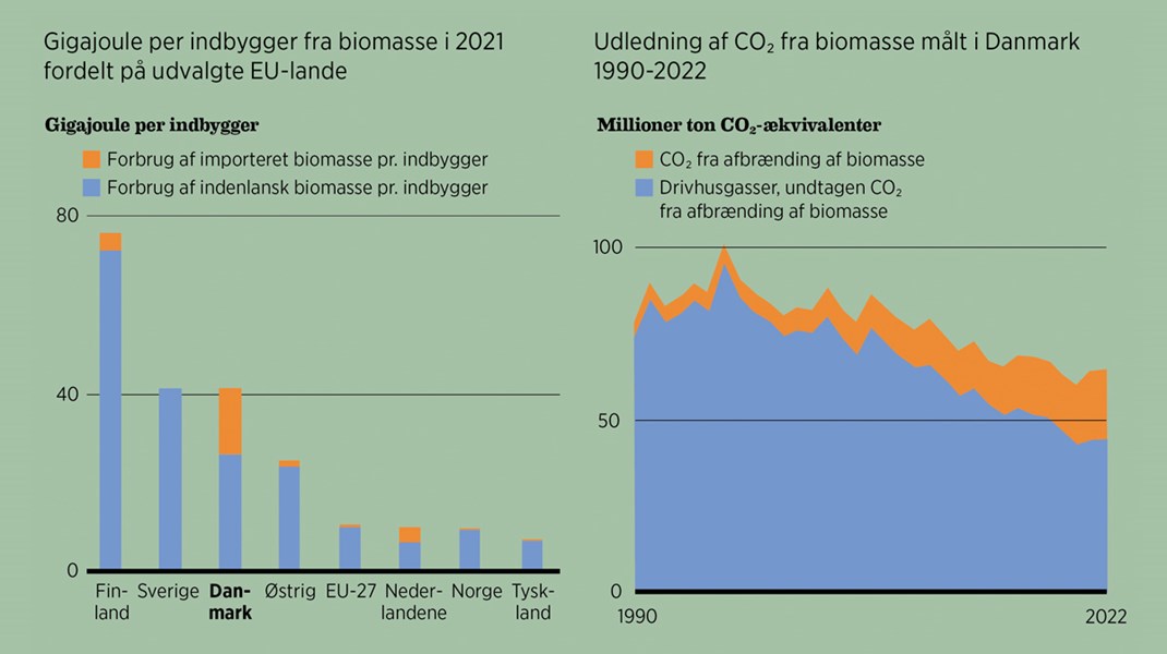 Fakta: Danmark har det højeste forbrug af importeret biomasse i hele EU  