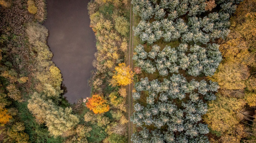 Klimaet er trådt ind i de voksnes rækker – det stiller nye krav til ledelser