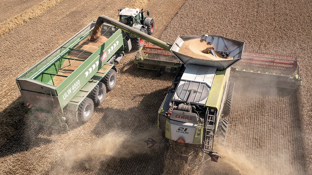 Professor slår alarm før historisk biodiversitetslov: “Vi er ved at tømme landet for naturværdier”
