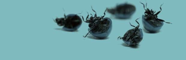 De magtesløse magthavere